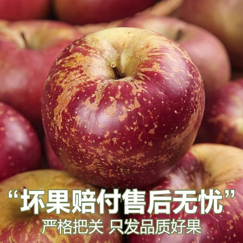 图 4