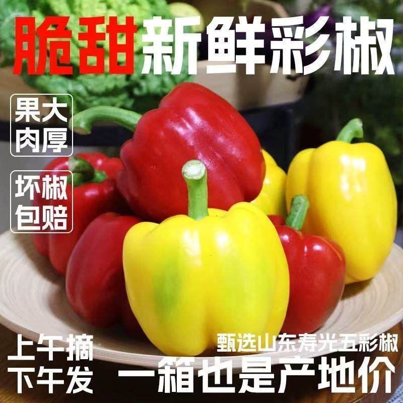 寿光五彩甜椒生吃水果彩椒青椒红黄绿圆椒辣椒新鲜现摘当季蔬菜,淘宝优惠券,粉丝福利购,淘宝优惠卷