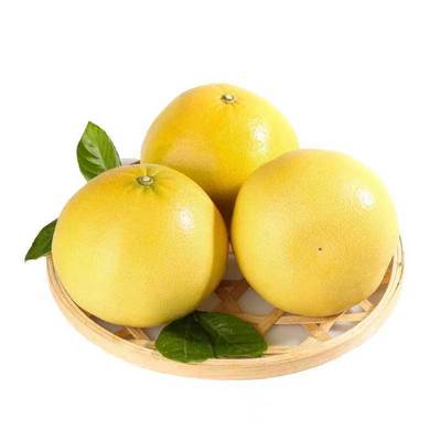 黄金葡萄柚5斤（中大果）