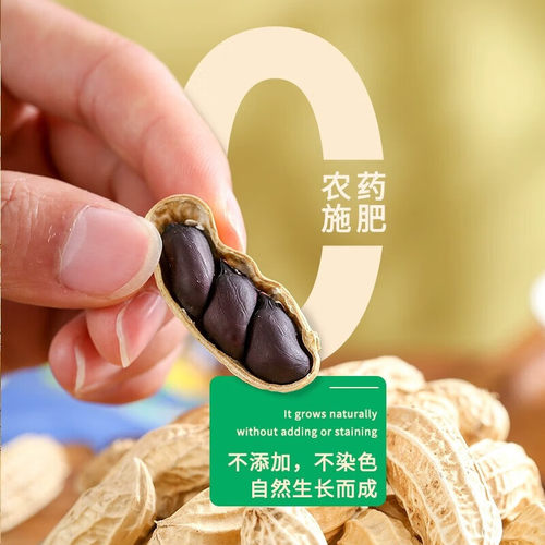 新货带壳黑花生米批发颗粒饱满农家原味小粒营养丰富全黑坚果零食 - 图2