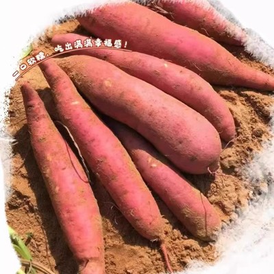 山东烟薯25糖心红薯蜜薯番薯烤地瓜新鲜5斤农家沙地烤地瓜