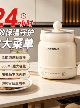 便携式电炖杯一人用养生杯