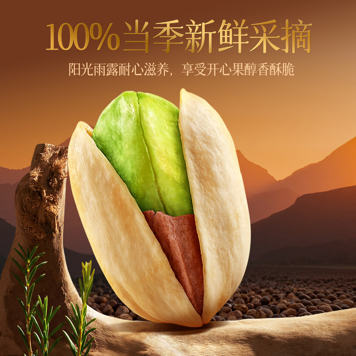 当季新货开心果年货特大颗粒盐焗干果坚果大开口批发罐装无漂好吃,淘宝优惠券,粉丝福利购,淘宝优惠卷