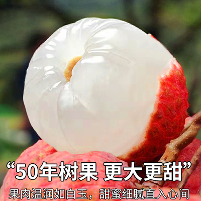 5斤黑叶荔枝福建现摘现发当季水果老树大果现摘整箱包邮妃子桂味
