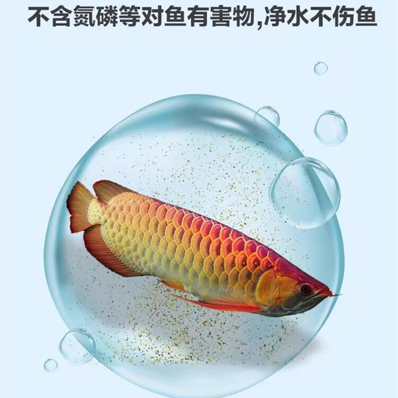 鱼缸净水剂一滴清水特清水质净化水杀菌清洁剂净水王细菌亚甲基 - 图2