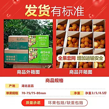 正宗高山纽荷尔脐橙*9斤[1元优惠券]-寻折猪