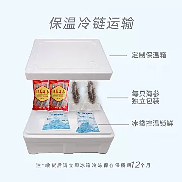 大连辽海参即食正品一斤装独立包装袋[10元优惠券]-寻折猪