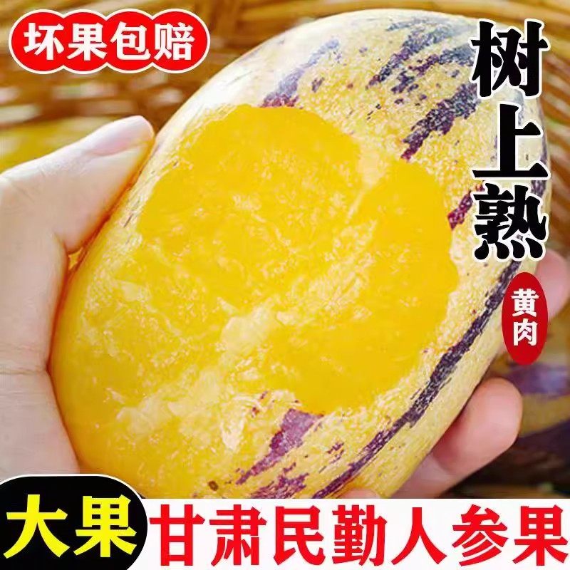 甘肃沙漠人参果大果民勤黄肉人生果新鲜应季8斤老人孕妇新鲜水果,淘宝优惠券,粉丝福利购,淘宝优惠卷