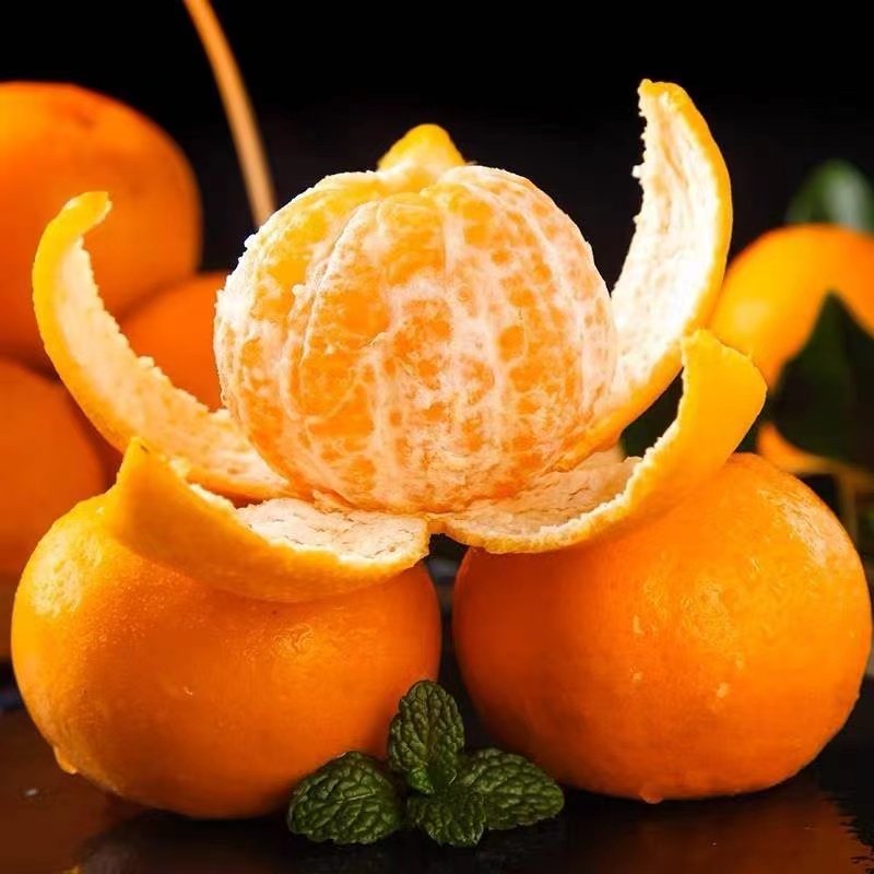 云南高山沃柑正宗新鲜水果橘子整箱柑桔子现摘果园超甜年货节高原,淘宝优惠券,粉丝福利购,淘宝优惠卷