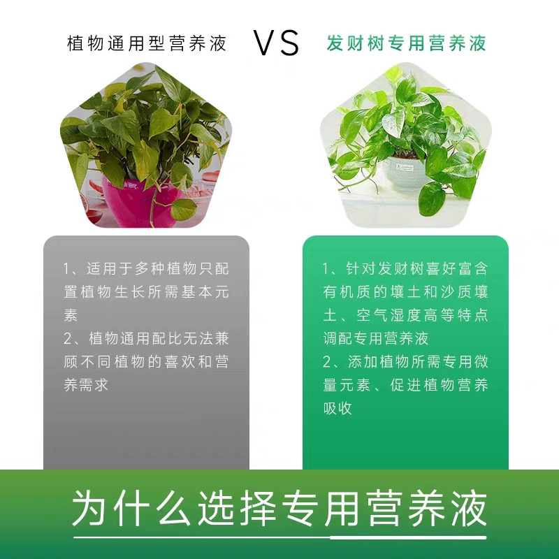 盆栽花卉绿植花草水培绿萝植物营养液免稀释通用型叶面肥喷施园艺 - 图2