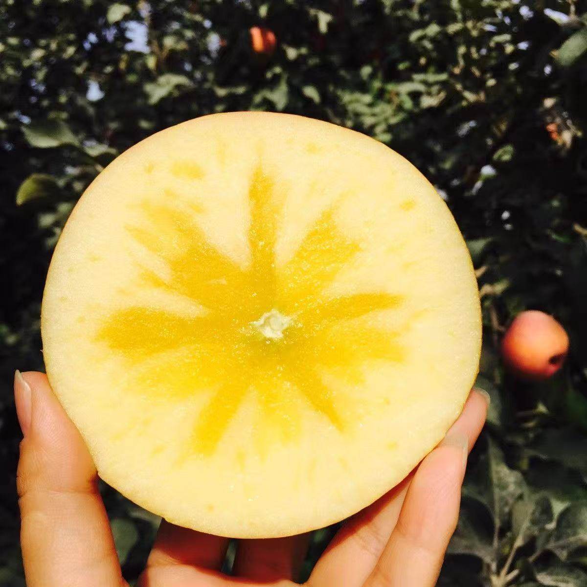 现摘现发山西运城红富士正宗苹果高山冰糖心当季新鲜水果整箱脆甜,淘宝优惠券,粉丝福利购,淘宝优惠卷