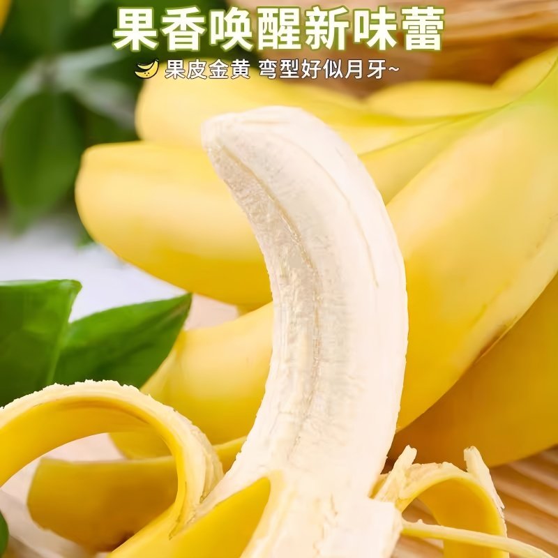 高山甜香蕉新鲜水果当季现摘大芭蕉小米蕉甜香蕉甜脆当季新鲜水果,淘宝优惠券,粉丝福利购,淘宝优惠卷