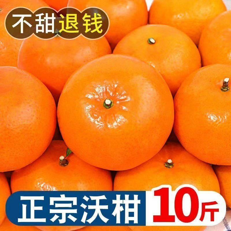 现摘新鲜沃柑水果当季沙糖砂糖柑橘大原产地皇后源头大果新鲜