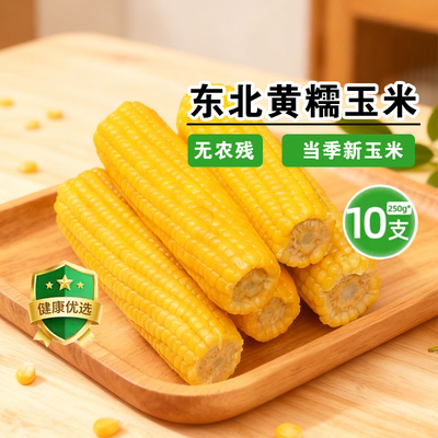 正宗东北黄糯玉米真空包装甜糯玉米加热即食玉米软糯香甜早餐饱腹