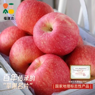山东红富士苹果5斤整箱当季脆甜冰糖心丑果