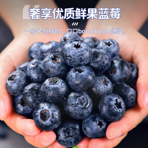 云南高山L25花香蓝莓鲜果当季新鲜水果现摘怡颗大果整箱包邮纯甜