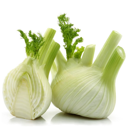 鲜球茎大茴香茴香头1-5斤 新鲜茴香根茴香球茎 西餐料理香料食材 - 图3