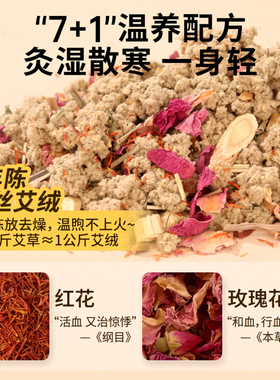 中医强推】电加热艾灸坐垫
