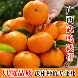 广西沃柑当季特产整箱新鲜孕妇水果沙糖蜜橘砂糖柑橘桔子橘子