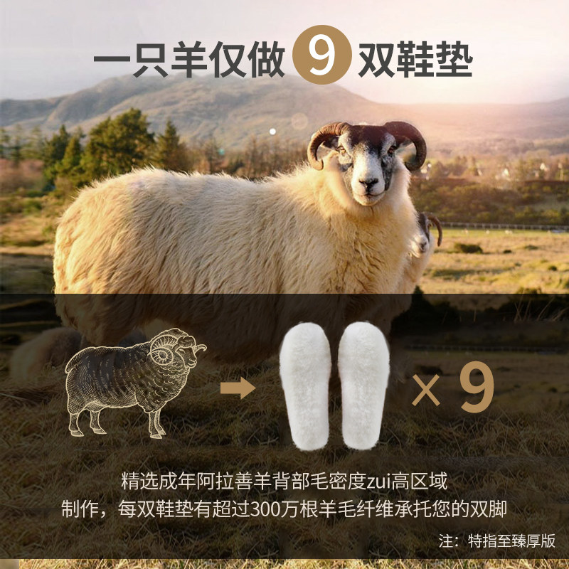 100%纯羊毛保暖鞋垫皮毛一体男女加绒加厚吸汗防臭棉鞋垫毛绒冬季,淘宝优惠券,粉丝福利购,淘宝优惠卷