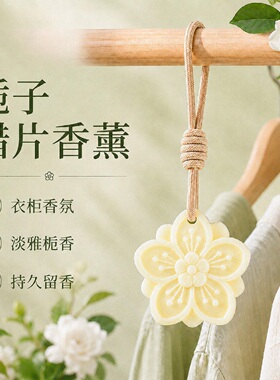 衣柜香薰蜡片女生淡香衣橱鞋柜持久散香空气清新剂香挂生日伴手礼