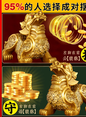 貔貅摆件招财旺财聚财纯铜公母一对家用八方来财家居客厅发财