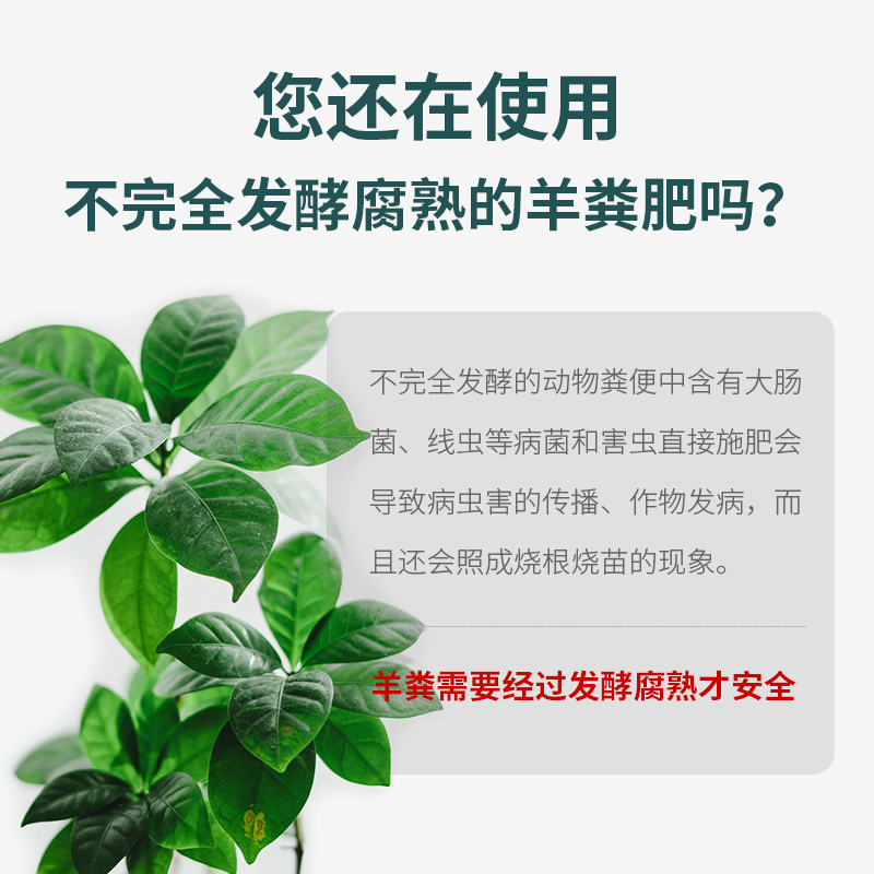 羊粪发酵有机肥专用羊粪肥盆栽通用型养花有机肥料鸡粪腐熟土壤-图1