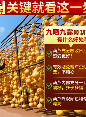 天然葫芦摆件招财仿真叶子发财树