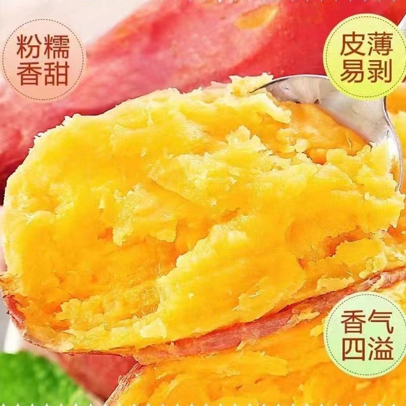 沙地龙九蜜薯红薯新鲜9斤番薯农家现发烤地瓜山芋红署黄心食用 - 图2