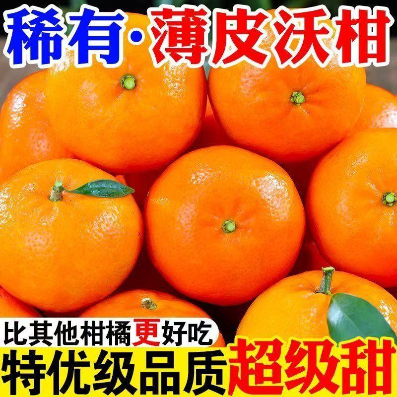 【精选品质】正宗云南高山沃柑当季新鲜水果薄皮超甜桔子整箱包邮,淘宝优惠券,粉丝福利购,淘宝优惠卷