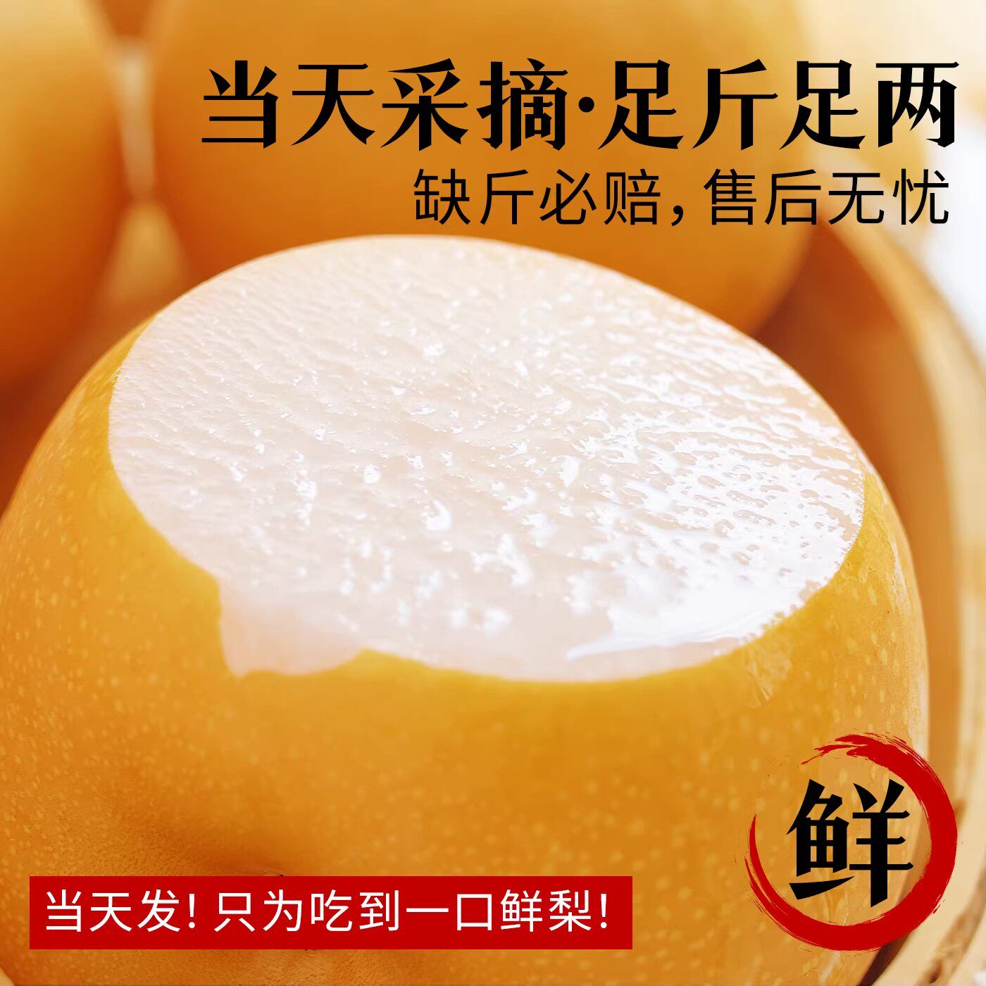 正宗秋月梨中秋现摘现发水果新鲜整箱当季梨子山东应季官方正品