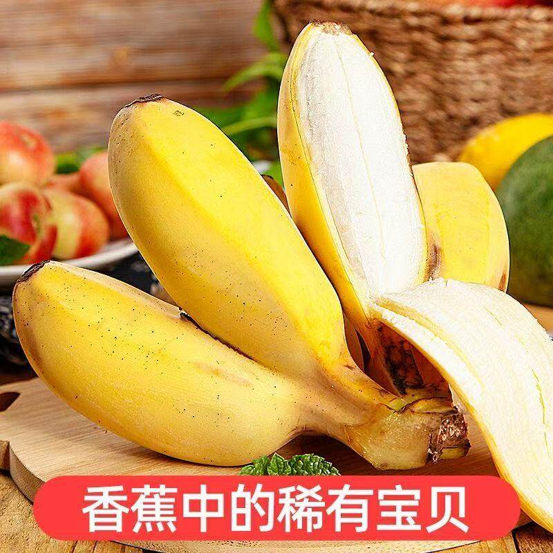 正宗广西小米蕉小香蕉水果苹果粉蕉芭蕉西贡蕉新鲜尾蕉小果自然熟