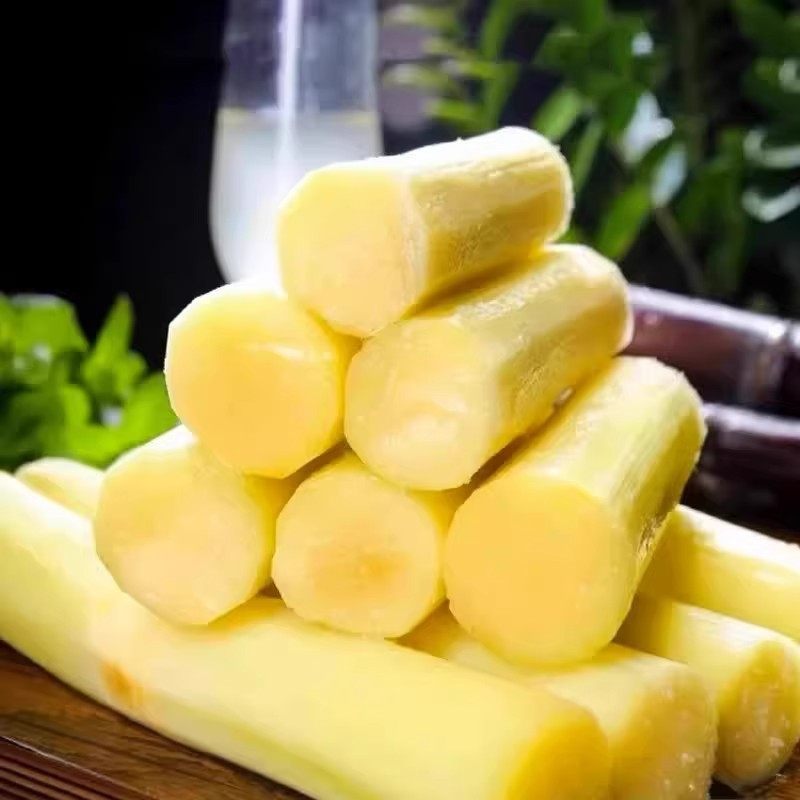 广西黑皮甘蔗新鲜现砍特产紫皮甘蔗孕妇水果脆甜榨汁应季可选,淘宝优惠券,粉丝福利购,淘宝优惠卷