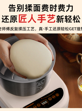 扬子和面机家用小型揉面机大容量厨师机烘焙馒头机新款电动发面机
