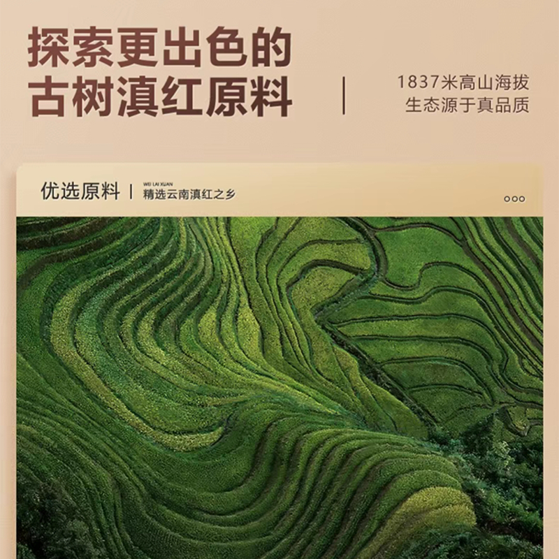 特一级滇红红茶官方旗舰店2025新茶云南凤庆特级浓香型养胃茶叶,淘宝优惠券,粉丝福利购,淘宝优惠卷