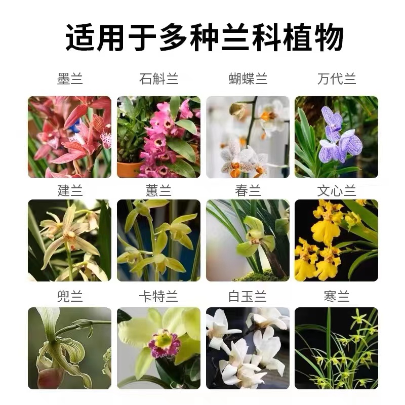 兰灵王兰花专用营养液肥料em菌兰蝴蝶兰陵王君子兰养花微生物开花-图0