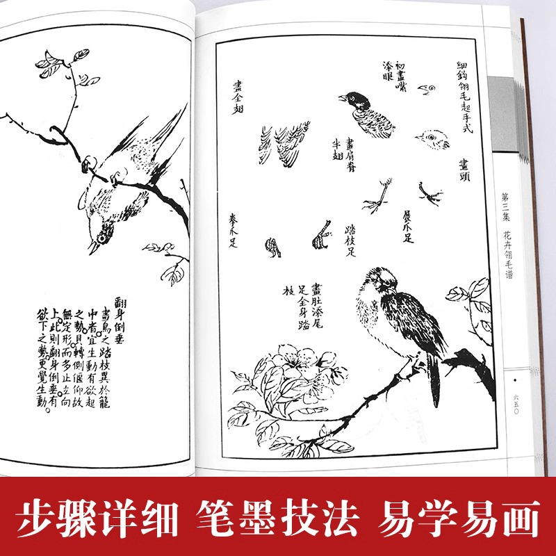 【官方正版】芥子园画传画谱套装全集共6册图文版畅销绘画入门教科书全中国传世山水画写意花鸟画人物画国画技法书籍畅销书排行榜 - 图1