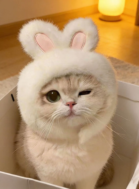 宠物猫咪头饰变装帽可爱