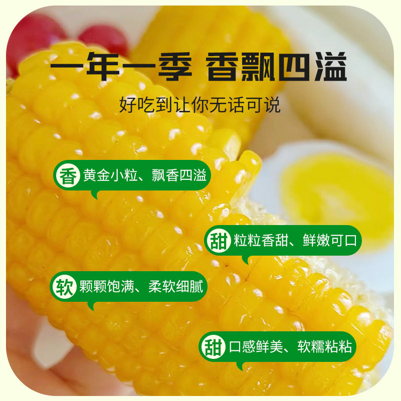 新鲜东北真空包装黏玉米棒黄糯苞米现摘甜粒粘真空装早餐代餐软糯,淘宝优惠券,粉丝福利购,淘宝优惠卷