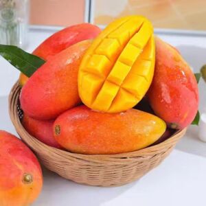 海南贵妃芒果现摘树上熟红金龙芒果辣椒芒特级果新鲜水果孕妇水果