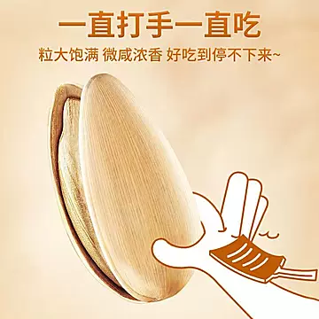 【手打五香瓜子450g*2袋装】[6元优惠券]-寻折猪