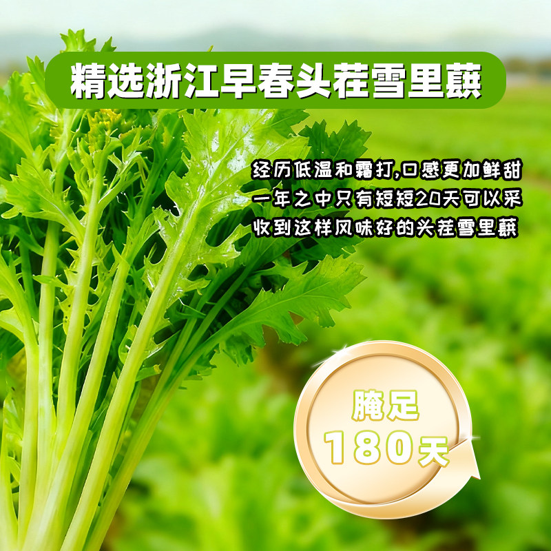 博鸿0防腐剂雪菜王120g免洗免切配料干净浙江雪里蕻新鲜酱腌咸菜,淘宝优惠券,粉丝福利购,淘宝优惠卷