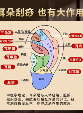 丰林纯黄铜正品耳朵刮痧板耳砭刮耳部面部用耳穴专用按摩经络肩颈