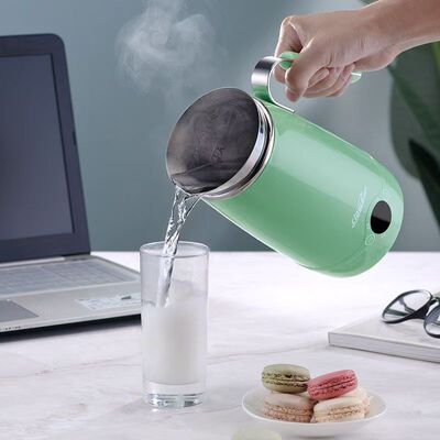 CIDYLO思迪乐便携式烧水壶旅行迷你养生壶电热热水壶小容量不锈钢