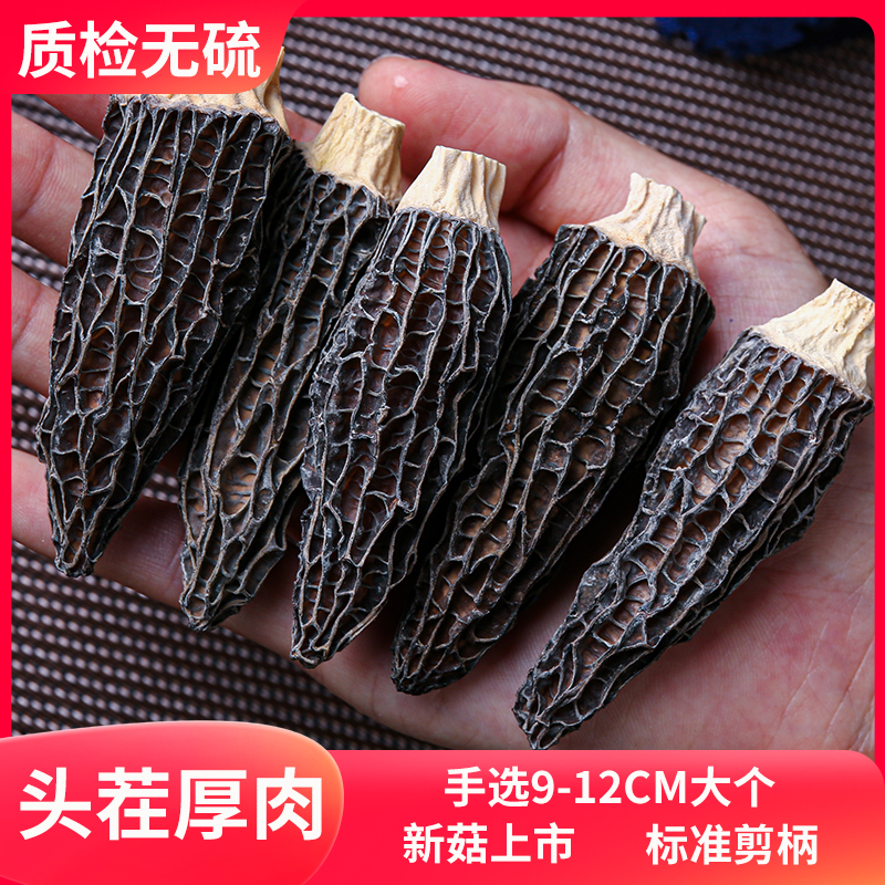 干货羊肚菌特产级云南新鲜特级野生蘑菇菌菇汤料包头茬剪柄煲汤 - 图1