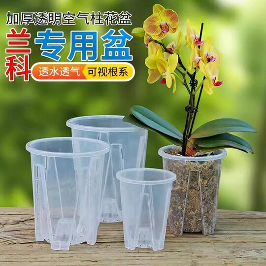 Transparent for Phalaenopsis | Over 4,500 repeat customers