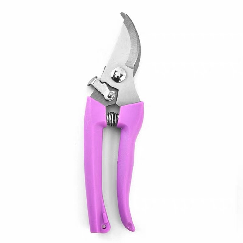 剪树枝专用修花剪园艺园林修枝剪刀强力嫁接采摘省力果树摘果神器,淘宝优惠券,粉丝福利购,淘宝优惠卷