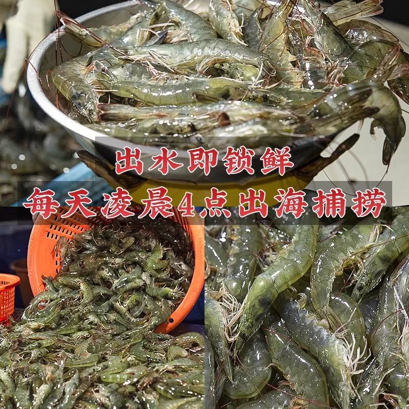鲜活速冻青岛大虾特大海虾新鲜基围虾海捕冻虾白虾冷冻海鲜水产