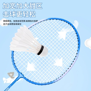 羽毛球拍+球成人拍蓝色2支送3尼龙球+1拍包