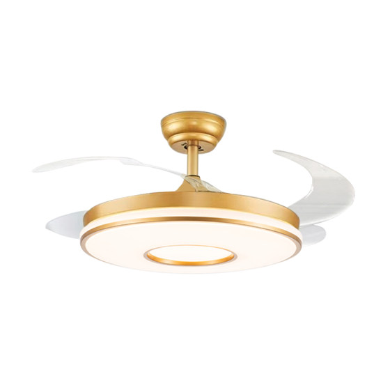 Scenery fan ABS4 voice fan light ceiling fan light manufacturer